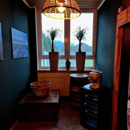 Otel Heilsbach Ggmbh Fischbach