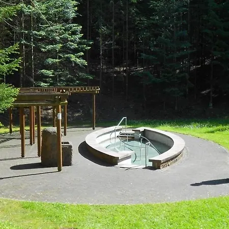 Heilsbach Ggmbh * Fischbach