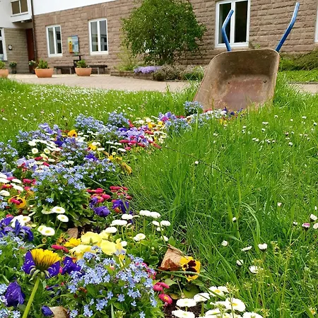 Heilsbach Ggmbh *