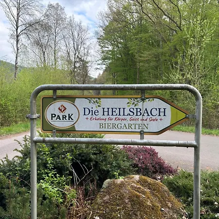 Heilsbach Ggmbh Fischbach