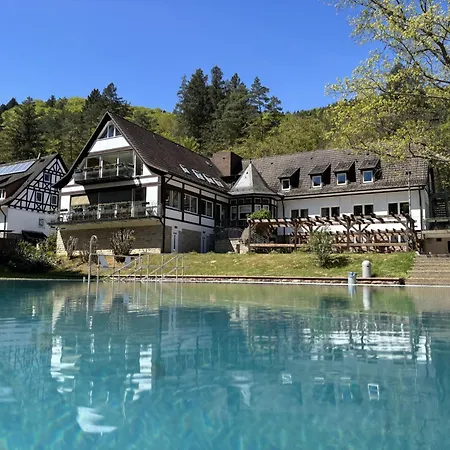 Ξενοδοχείο Heilsbach Ggmbh *