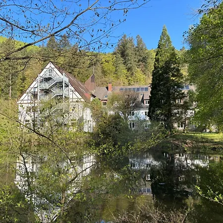 Heilsbach Ggmbh *