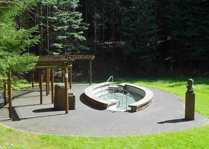 Heilsbach Ggmbh * Fischbach